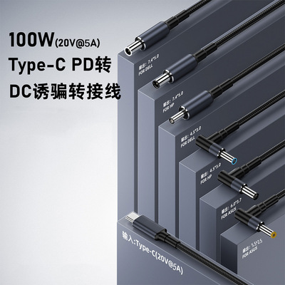 ПД ПРЕДВОЧКА ПРЕДОСТАВЛЯЕТСЯ КАБЕЛА DC DECEPTION TIPE-C до DC 100W 5A 20 В кабель быстрого зарядки с помощью чипа Emarker