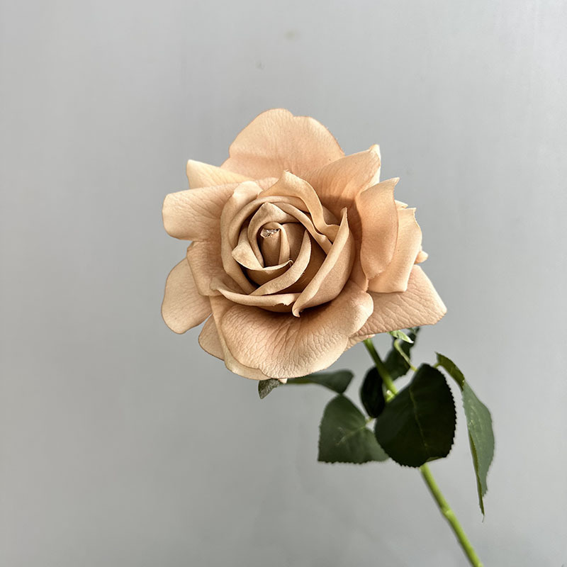 싱글 터치 보습 로즈 모란디 핑크