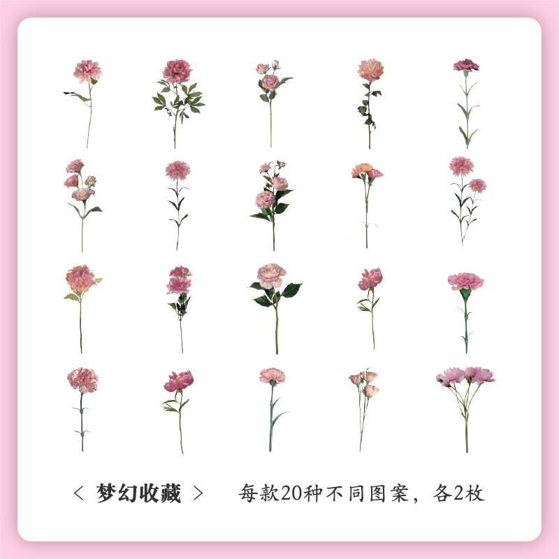 Museo Natural serie mano cuenta pegatinas bolsa vintage planta flor pegatinas mascota impermeable Flor Mariposa pegatinas