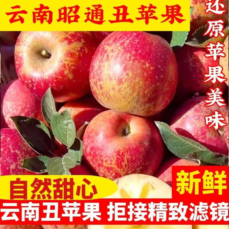 Yunnan Sugar Heart Ugly Apple 4.5kg Seasonal Fresh Fruit Authentic Zhaotong Crisp Sweet Red Fuji Apple Large Fruit Whole Box