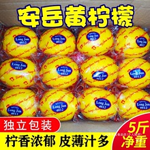 �������r �Ĵ������������rˮ������9�ﾫ�xƤ����֭��ˮ�r������