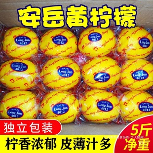 �������r �Ĵ������������rˮ������9�ﾫ�xƤ����֭��ˮ�r������