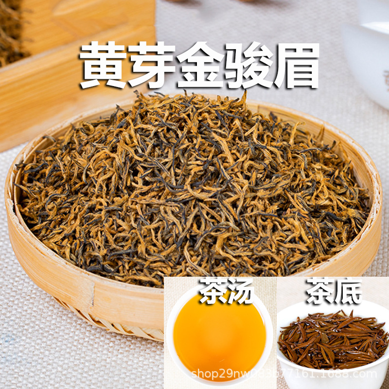 노란 새싹 황금 눈썹 [익스트림 부티크]