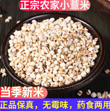 ����С޲�׳����F���d���r�����r��С޲������ș������؛2025����