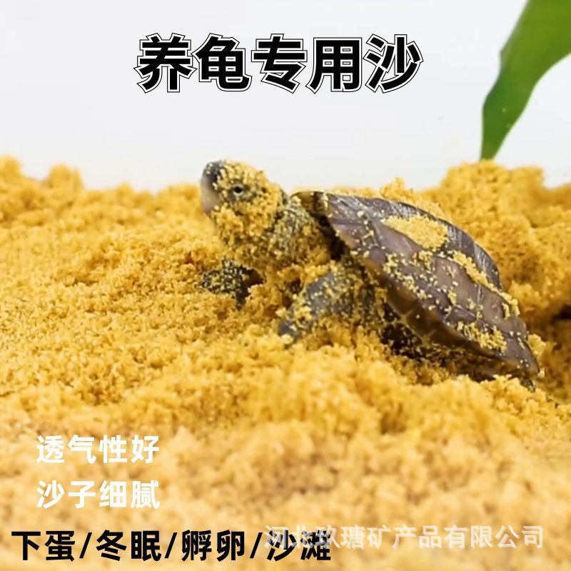 Turtle Sand Turtle Hibernation Egg-Laying Hatching Special Sand Turtle Tortoise Brazilian Turtle Sand Bulk Wholesale