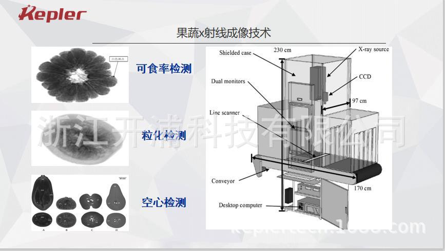 果蔬x射線成像技術(shù)