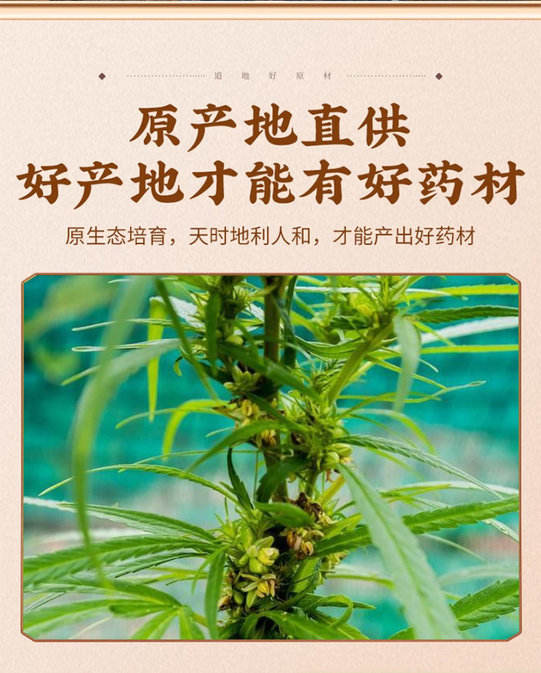 Hulled Hemp Seeds Huo Ma Ren 500g Dried Cannabis sativa Seed for Herbal Decoctions and Congee key features