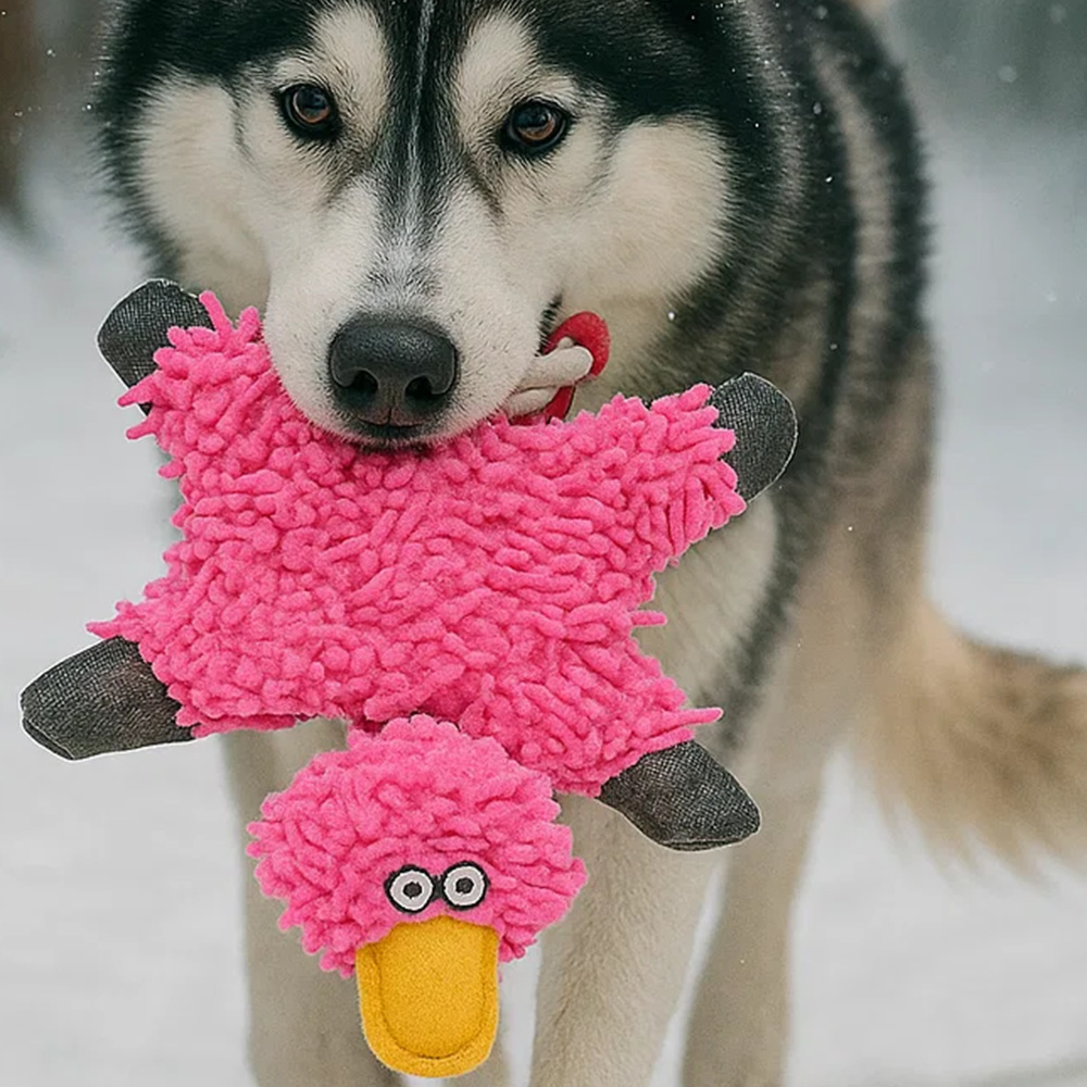 Cotton Rope Duck Pet Training Interactive Toy Dog Chewing to Relieve Boredom and Sound Toy Cat Teasing Pet Supplies