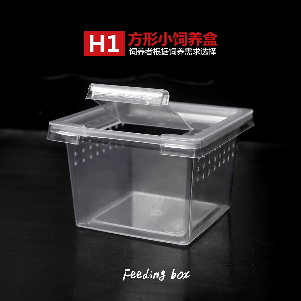 Nomo H1 альпинистское домашнее животное змея питон паук дворец коробка ящерица Скорпион многоножка угловая лягушка геккон Жук ящик для кормления насекомых