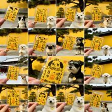 �¿��������ع��������@�µ�؈�����Ą���߅����LOMO������Ƭ