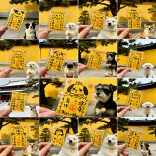 �¿��������ع��������@�µ�؈�����Ą���߅����LOMO������Ƭ