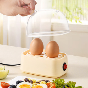 Multifunctional Egg Cooker Office Mini Egg Steamer Automatic Power Off Small Breakfast Machine Dormitory