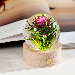 �羳؛Դ�����֬ˮ����Сҹ��������3D�ȵ�l�⌍ľ����ˮ���Y��