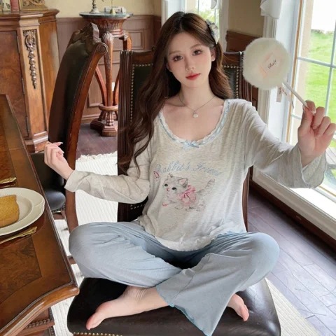 6202#회색 고양이