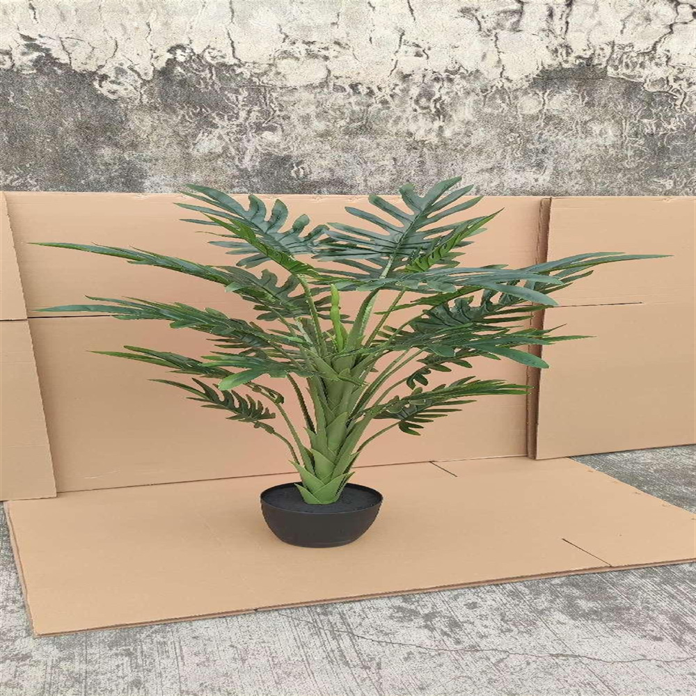 微信图片_202412311129193