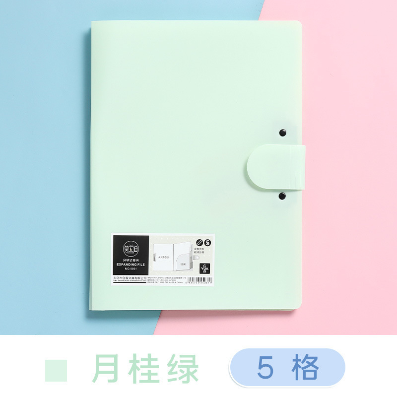 Multi-Pocket Plastic A4 Organizer File
