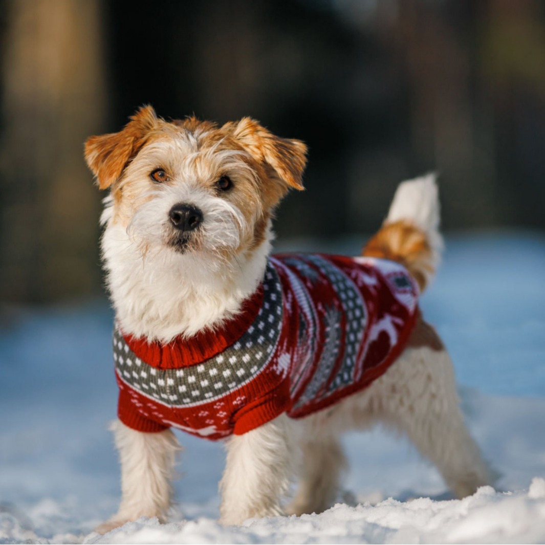 Ropa de mascotas de Navidad Teddy Husky Labrador de pelo dorado británico suéter de invierno y otoño para mascotas suéter de aislamiento térmico