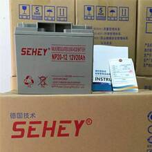 西力蓄电池NP20-12 免维护 12V20AH 铅酸固定型 阀控密封式