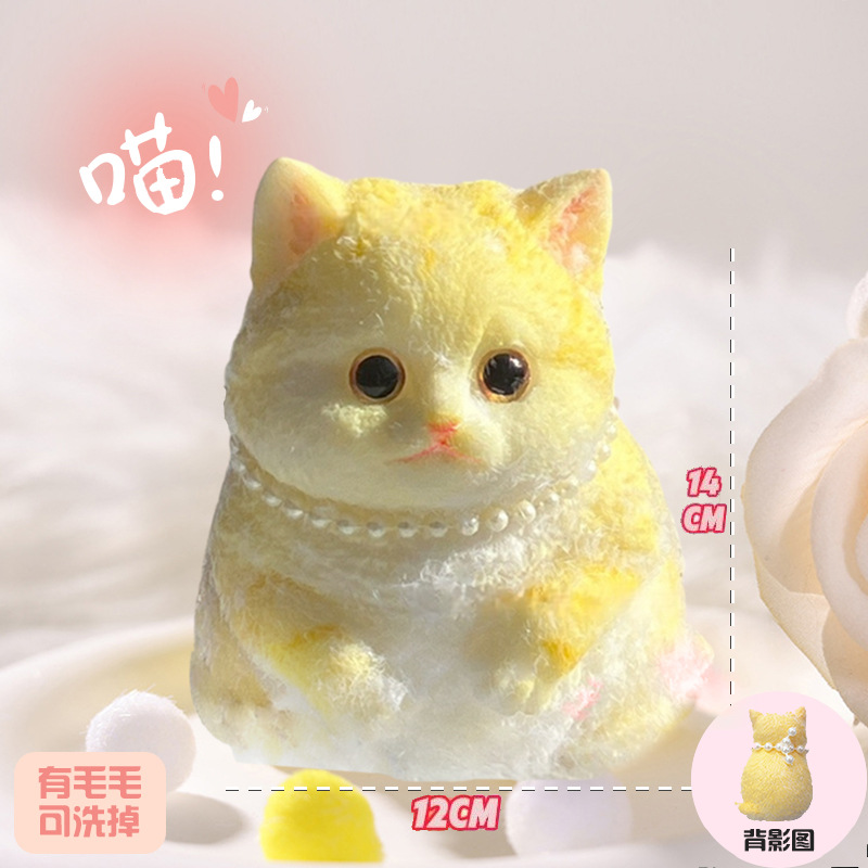 【특대형】황두두 800g