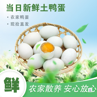 ���������r��������ɢ�B�������r�Ҵ��������l���|���r