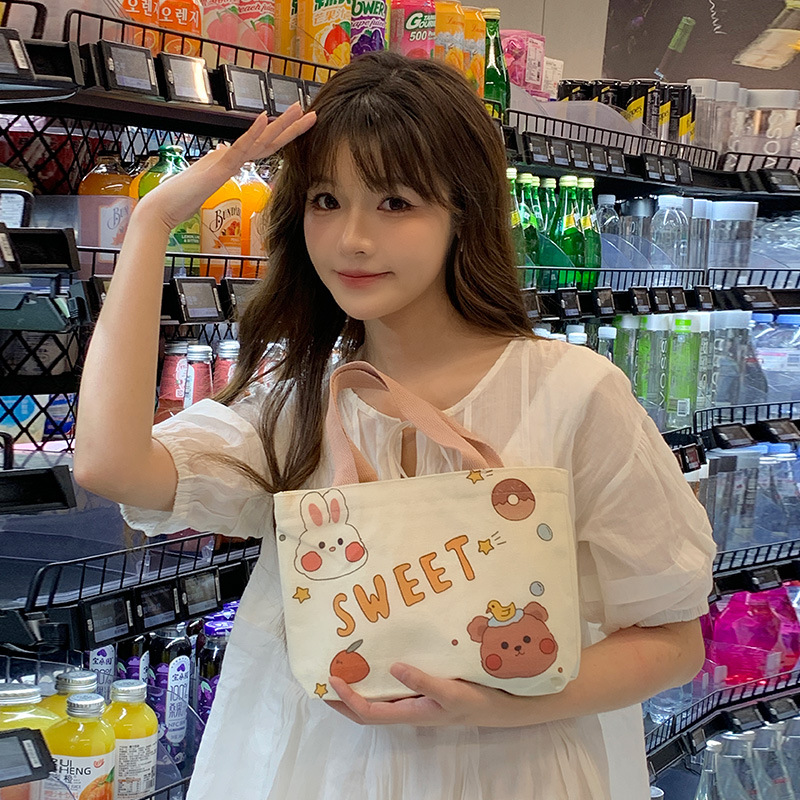 2024 new style canvas bag for women cute manufacturer wholesale student cartoon canvas handbag lunch bag one piece drop shipping