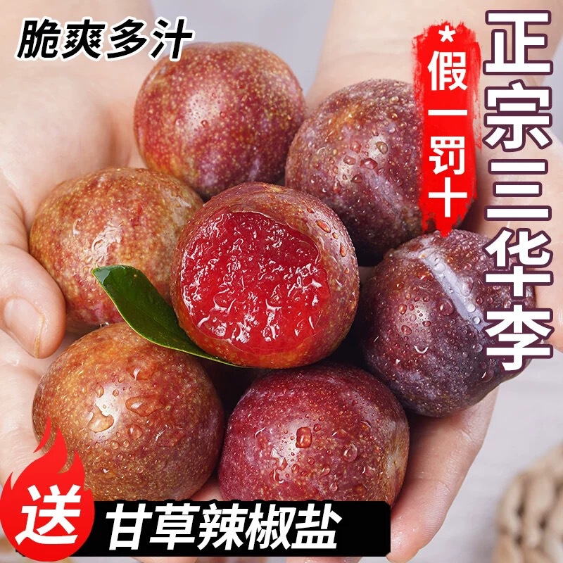 Freshly Picked Sanhua Plums from Guangdong Mountain, Large Seasonal Fruit, Suitable for Pregnant Women, Sweet and Sour Xin Yi Peaches, Hibiscus Plums