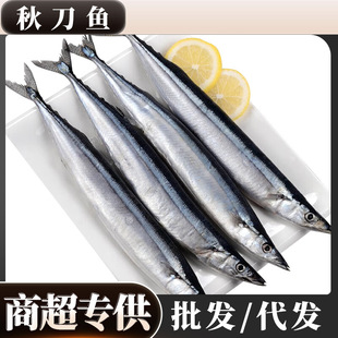 �ﵶ�~���r�r�������̖������~��ʽ�ﵶ�~�������l�����l