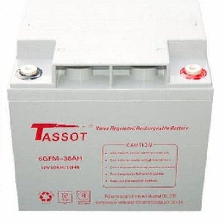 TASSOT泰斯特蓄电池6GFM-38AH 12V38Ah机房UPS不间断电源
