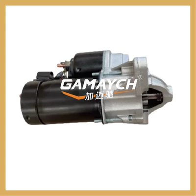 30005443 Starter Starter and accessories