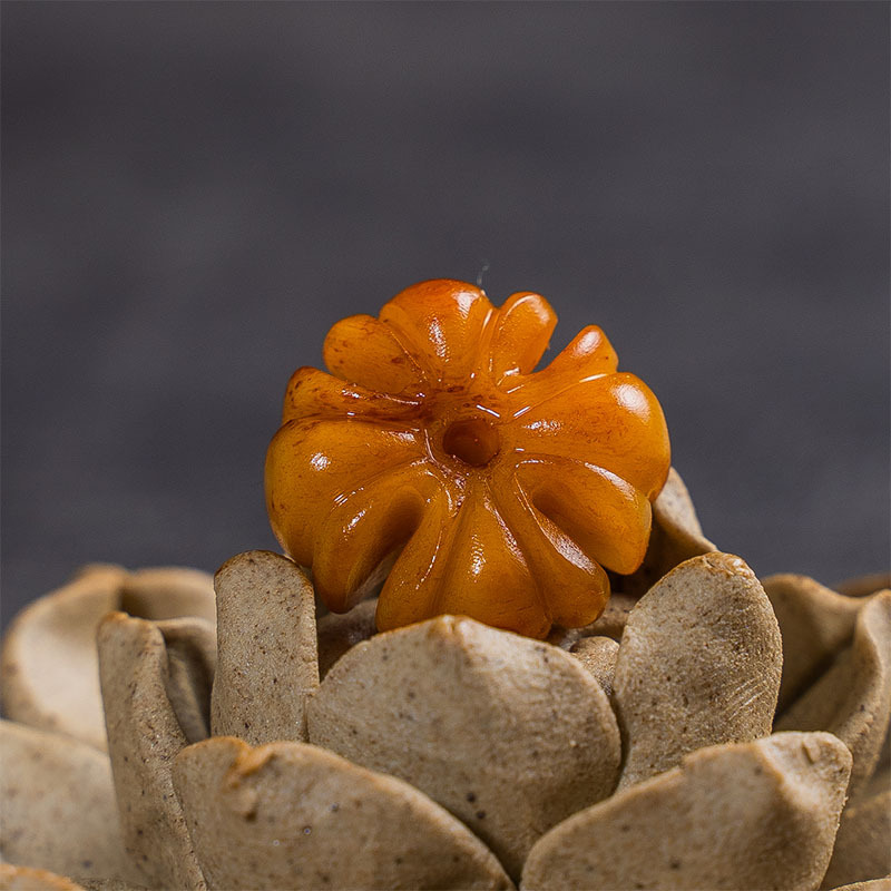 未标题-1_0012_CYH02377