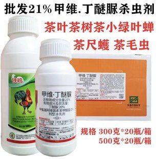 ɽ�|�F�u21%�׾S������ �׾S�}�������x�߲˲��~��䚢�x����ș