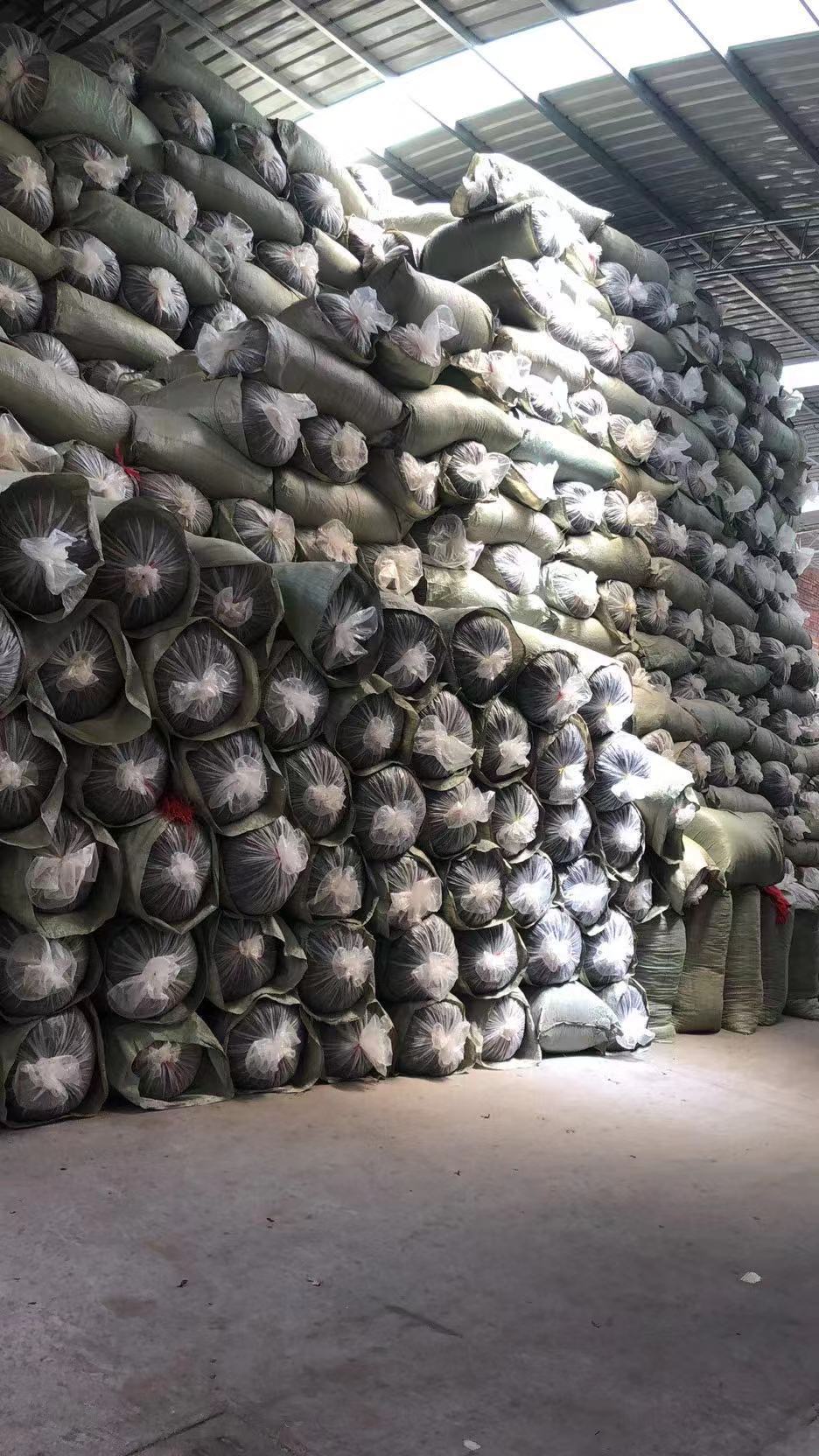 O1CN01XwlEp020L6acBDiIF_!!2211