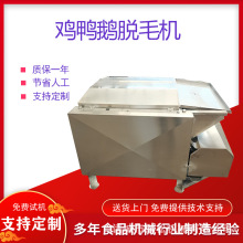 立式鸽子精脱毛机 全自动鸡鸭鹅屠宰脱毛设备 批发七轴九轴打毛机