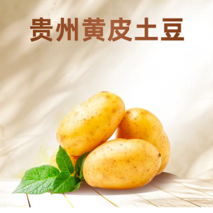 5�������������SƤ�������r�R������󮔼������r�ұ������l