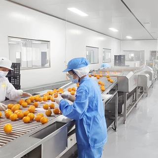 厂家直售椰子汁椰奶易拉罐果汁饮料灌装生产线