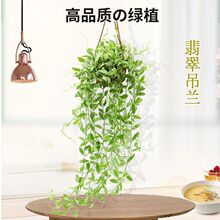 ����ȩ�����L�ّ�ֲ�����̨��߅���m�҃Ȼ��~���ڒ�Gֲ