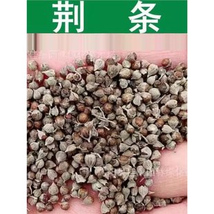 �G�l�N��ĵ�G��ָ�L��ָ���S�G���S�����o����Դ�B����G���N��