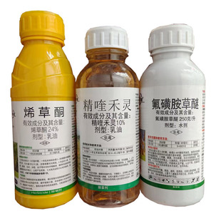 �󶹳��݄�  ��୺��` ϩ��ͪ ���ǰ����� ʮ�����S�����݄�