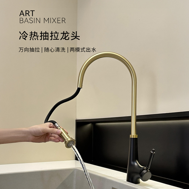 Guangdong Classy Pull-Out Kitchen Faucet Hot and Cold Water Household Extension Anti-Splash Two-In-One Sink Faucet