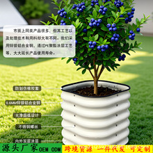 ���ٻ���N���侰�^�\�V�X�Ͻ�Nֲ����픲ˈ@���⻨�@�N�˴���