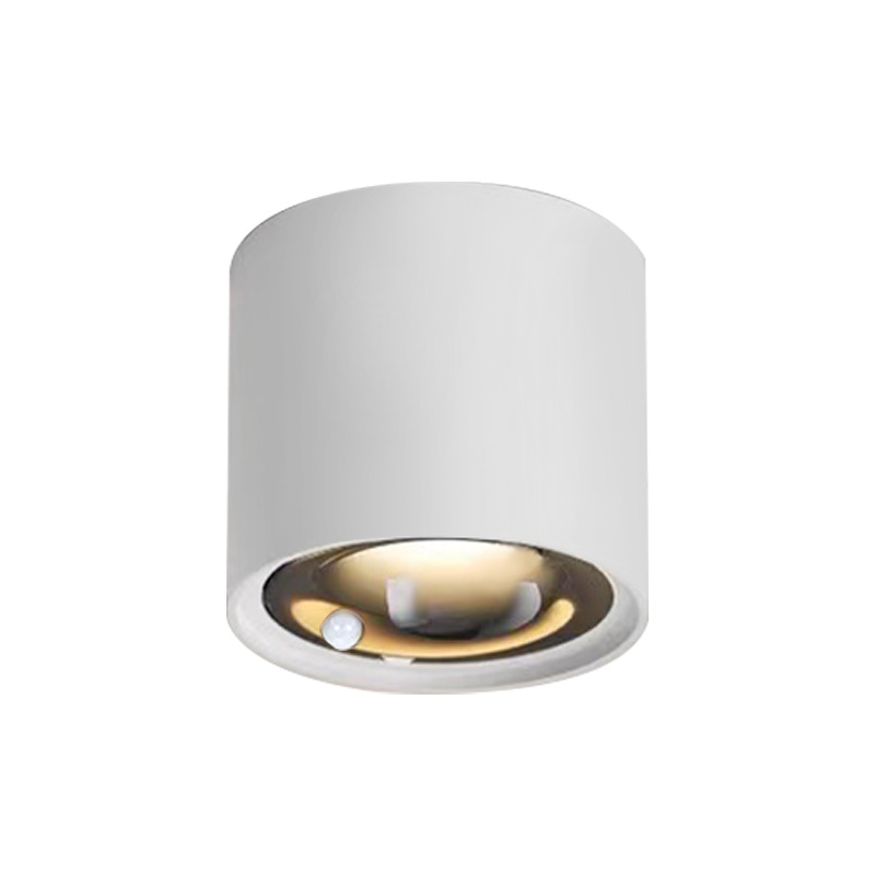 Led abierto-montado proyector de inducción del cuerpo humano cob infrarrojos casa sala de estar lámpara de techo escalera lámpara de inducción de techo al por mayor