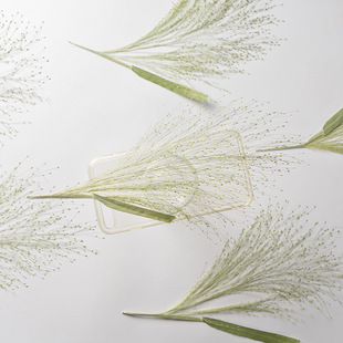 Fountain Dried Grass Flower Embossed Baffle Real Leaves Plant Specimen Bookmark Petal Makeup Embossed Table Lamp Candle Hand Made