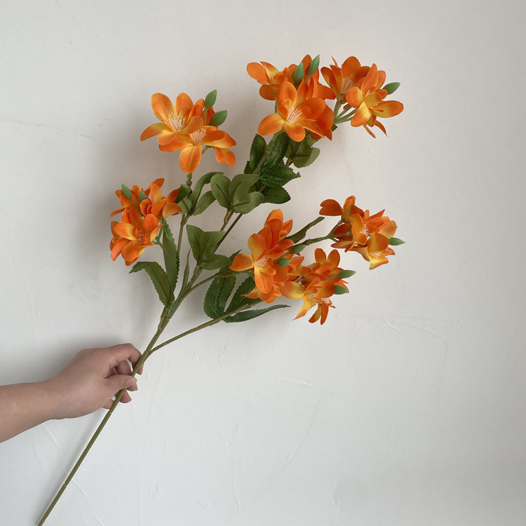 微信图片_202203251600438_副本