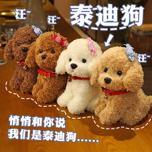 ���^̩�Ϲ�ë�q���С�������в����ތ��ﹷ�����Ȥ����ϵ