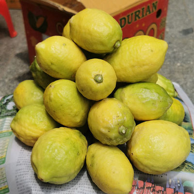 lemon Guangdong Perfume Two Yellow fruit fresh Four seasons Seedless Thick-skinned Meat flavor Full Tea shop Dedicated