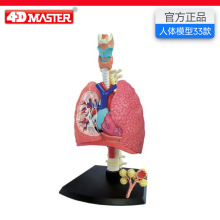 4D Master�κ���ϵͳģ������ṹ����ҽѧ���ʽ�ѧƴװ�ڼ�
