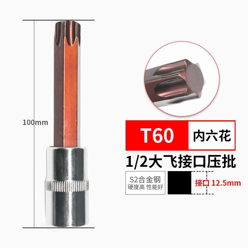 T60*100L