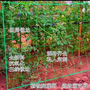 ֲ�����پW�S�Ͻz�Ͽ���¼����V����������W��������������پW