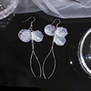 Fashionable summer spiral, long earrings, Japanese and Korean