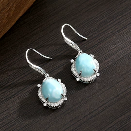 胸针;耳钉;项链